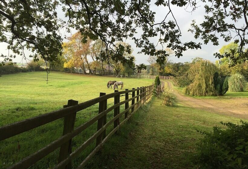 Bed and Breakfast The Vandees