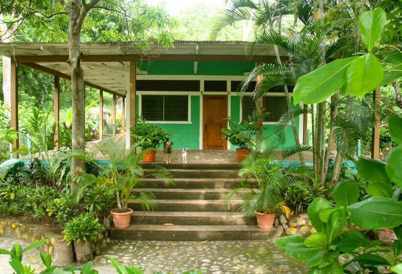 Hammock Plantation Hostel