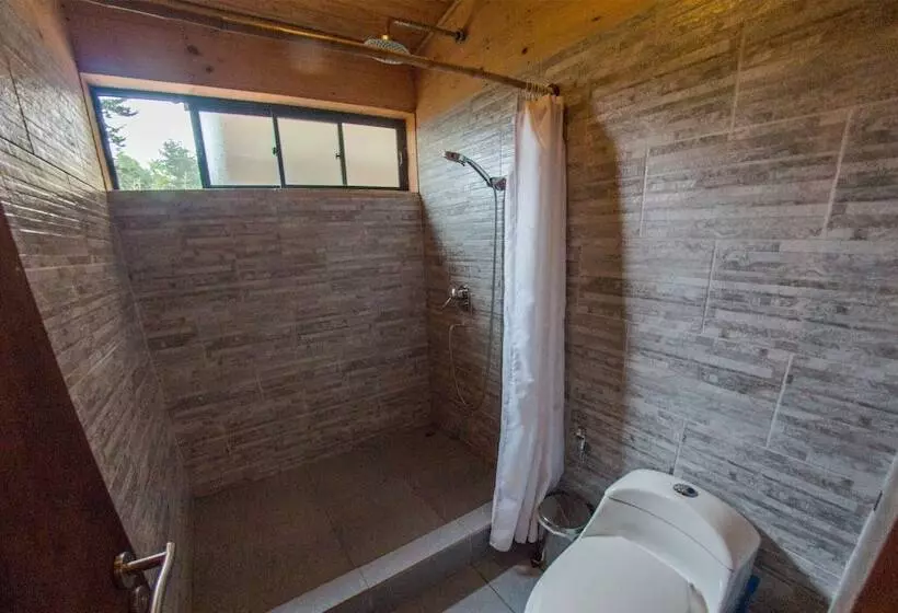 ホテル Cabañas Loica
