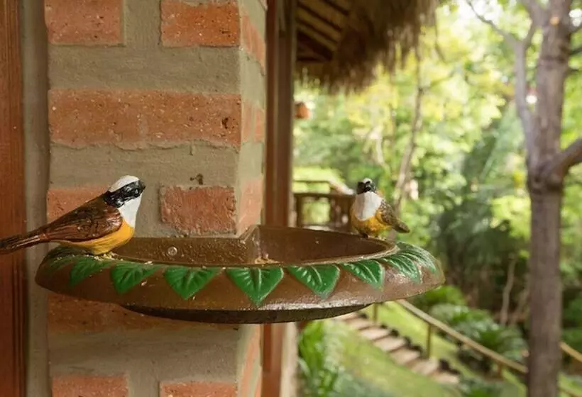 ホテル Pousada Soldadinho Do Araripe