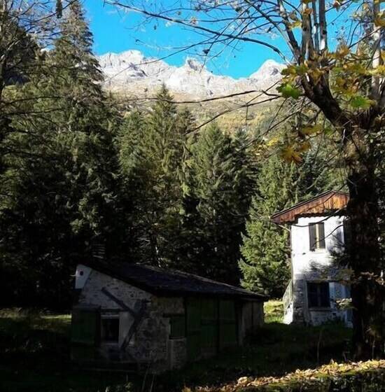 La Tana Dell Orso B & B