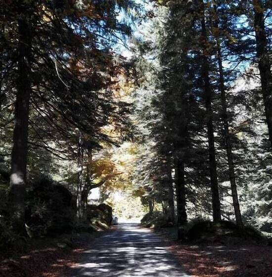 La Tana Dell Orso B & B