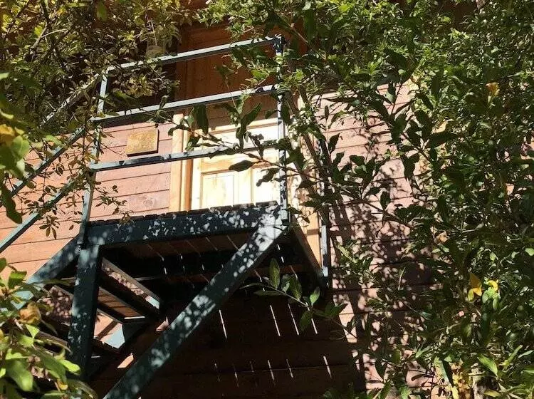 Olympos Varuna Pension