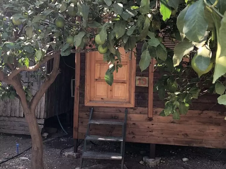 Olympos Varuna Pension