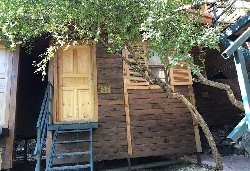 Olympos Varuna Pension