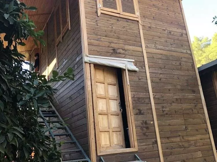 Olympos Varuna Pension