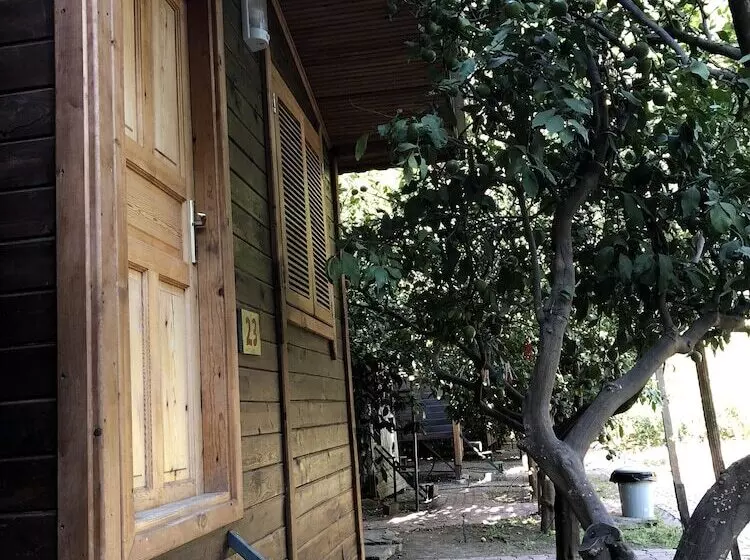 Olympos Varuna Pension