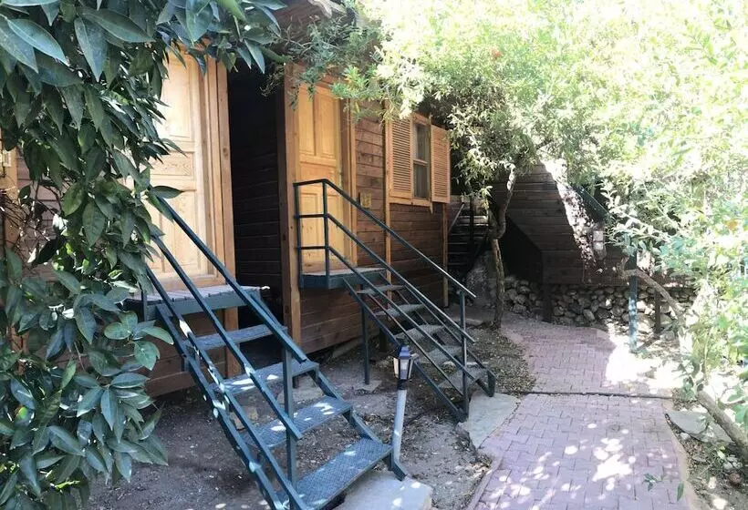 Olympos Varuna Pension