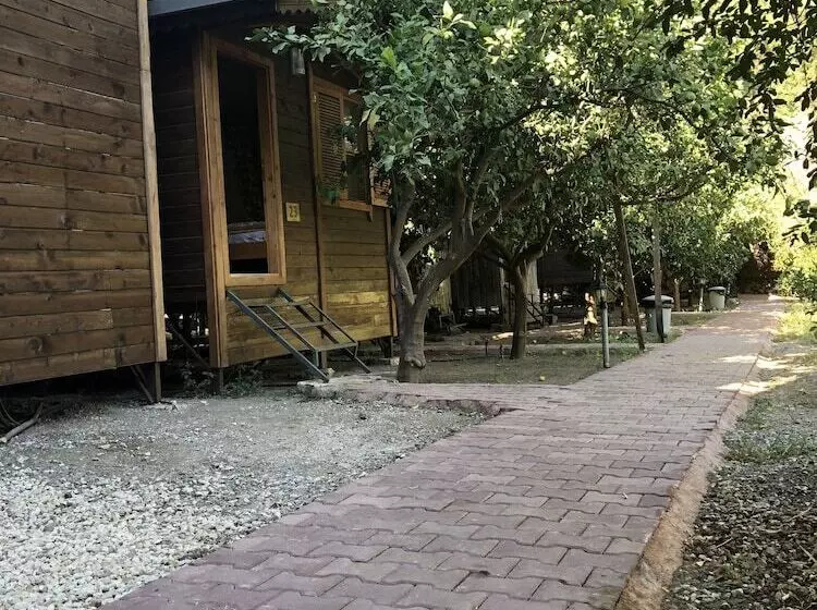 Olympos Varuna Pension