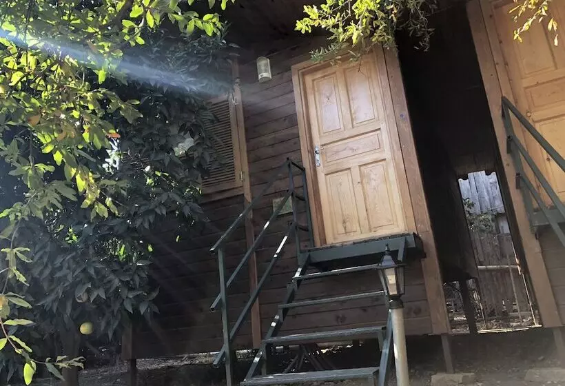 Olympos Varuna Pension