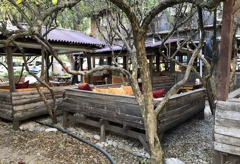 Olympos Varuna Pension