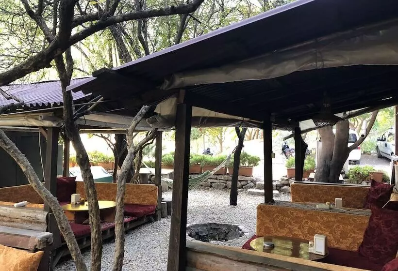 Olympos Varuna Pension