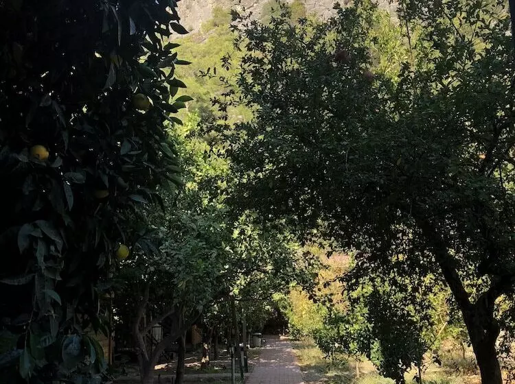 Olympos Varuna Pension