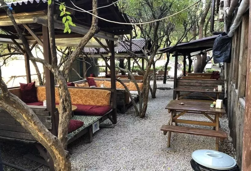 Olympos Varuna Pension