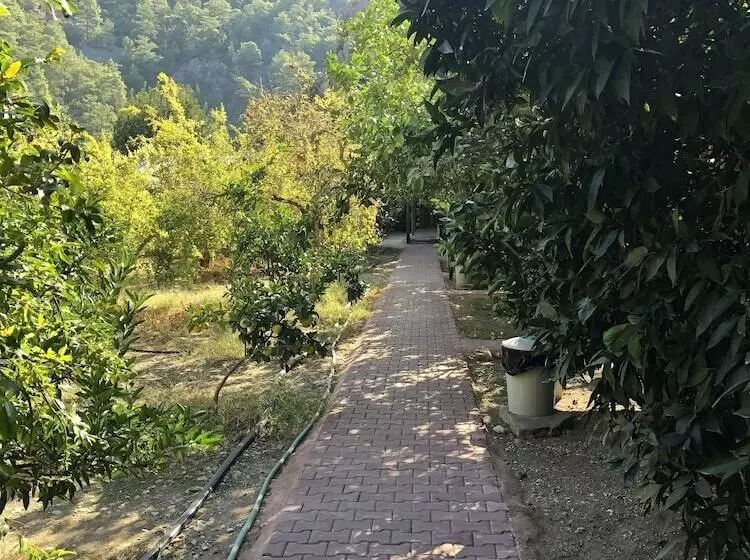 Olympos Varuna Pension