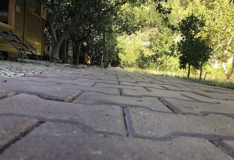 Olympos Varuna Pension
