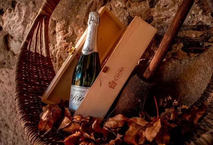 هتل Agriturismo Mas Dei Chini