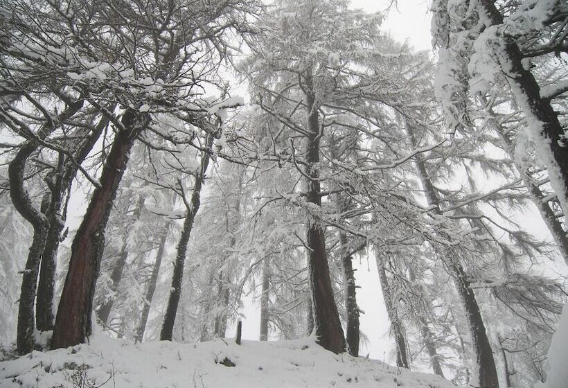 בית מלון כפרי Albe