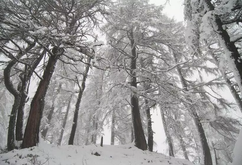 בית מלון כפרי Albe