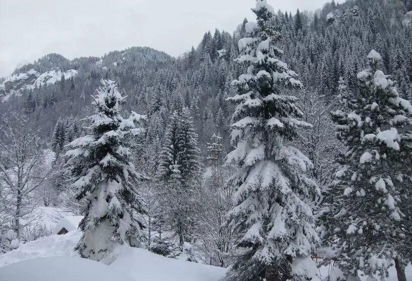 בית מלון כפרי Albe