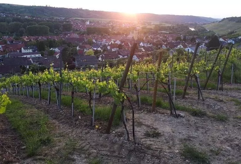 ホテル & Restaurant Sonnenhöfle