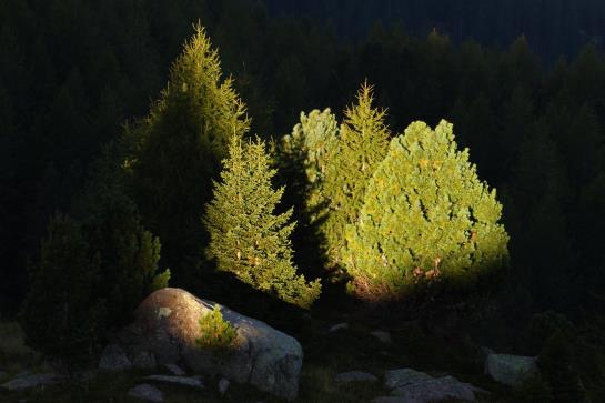 Отель Rifugio Serot