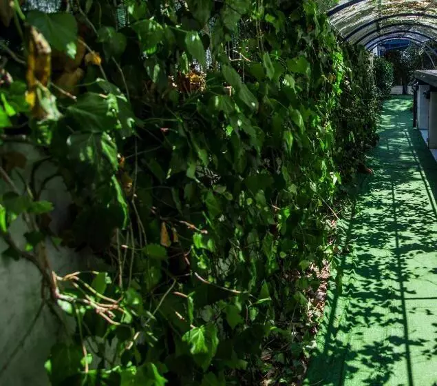 هتل Ristorante Meson Feliz