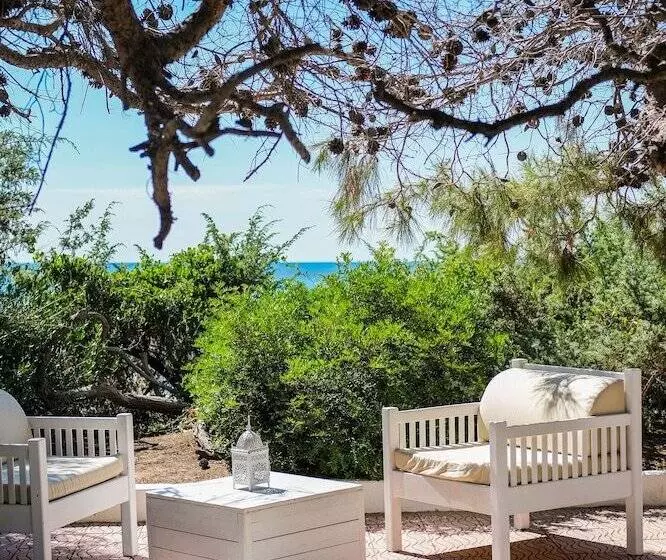 هتل Ticho S Greenblu