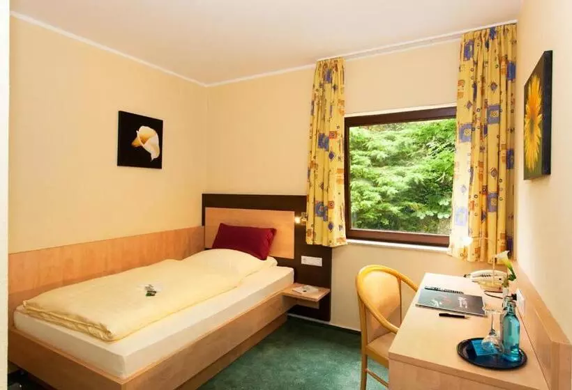 בית מלון כפרי Waldesruh