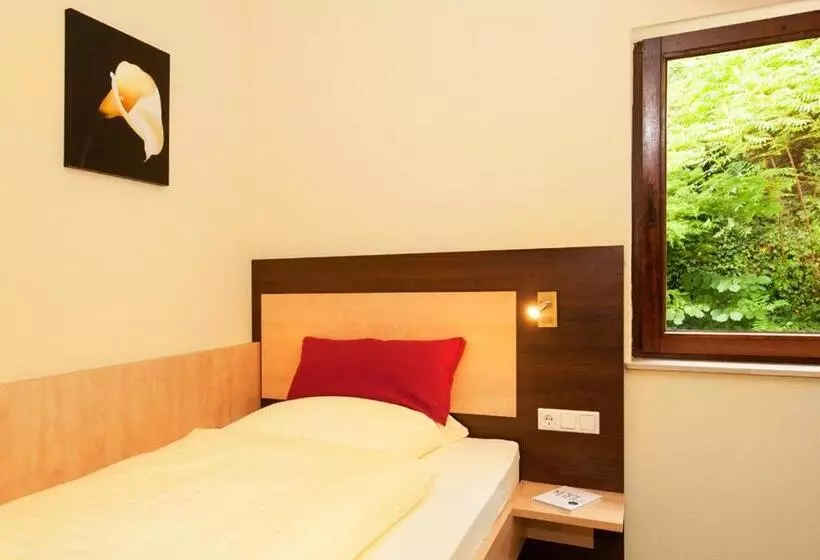 בית מלון כפרי Waldesruh