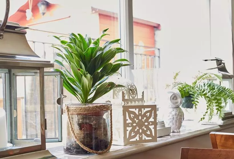 هتل Ziggurat Boutique