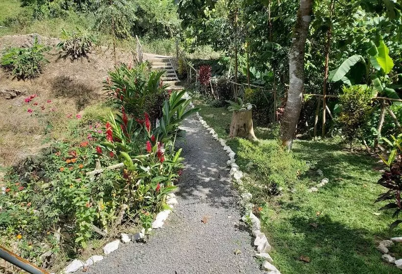Aruma Eco Hostal   Hostel