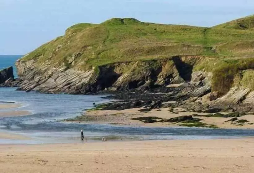 Beachcombers