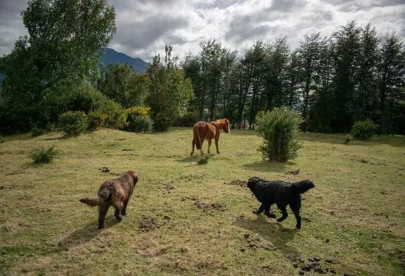 ホテル Andes Lodge