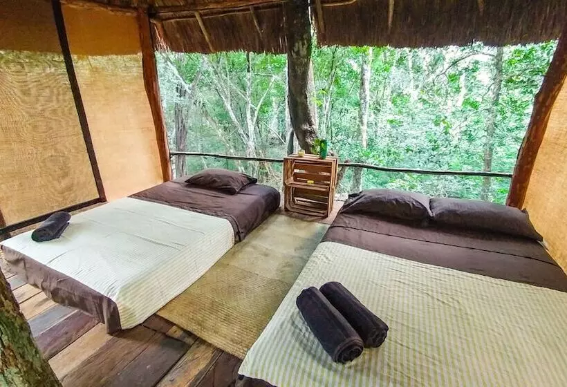 ホテル Casa Aztlan