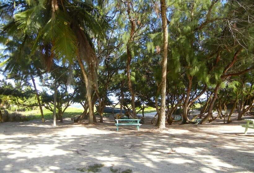 هتل Mike S Holiday Apartments