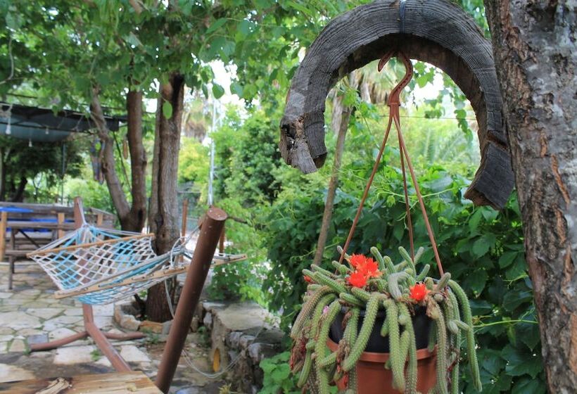 هتل Olympos Simar Pansiyon