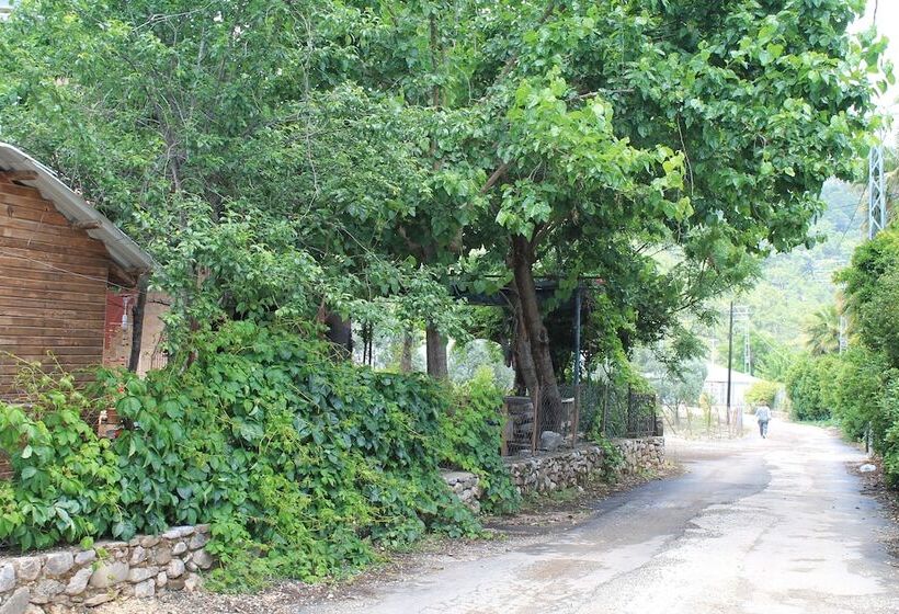 هتل Olympos Simar Pansiyon