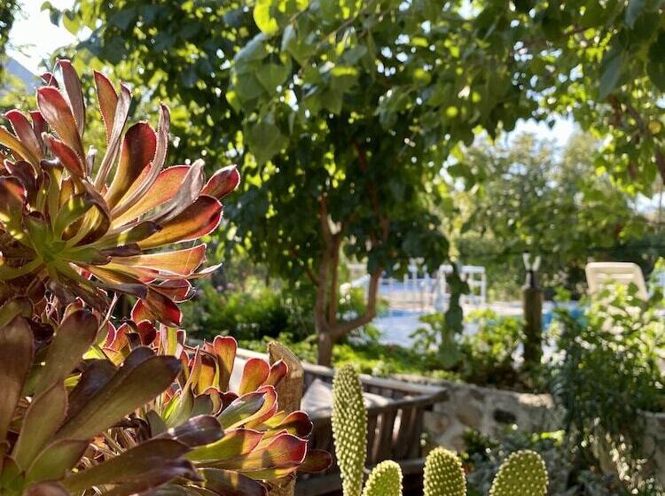 هتل Olympos Simar Pansiyon