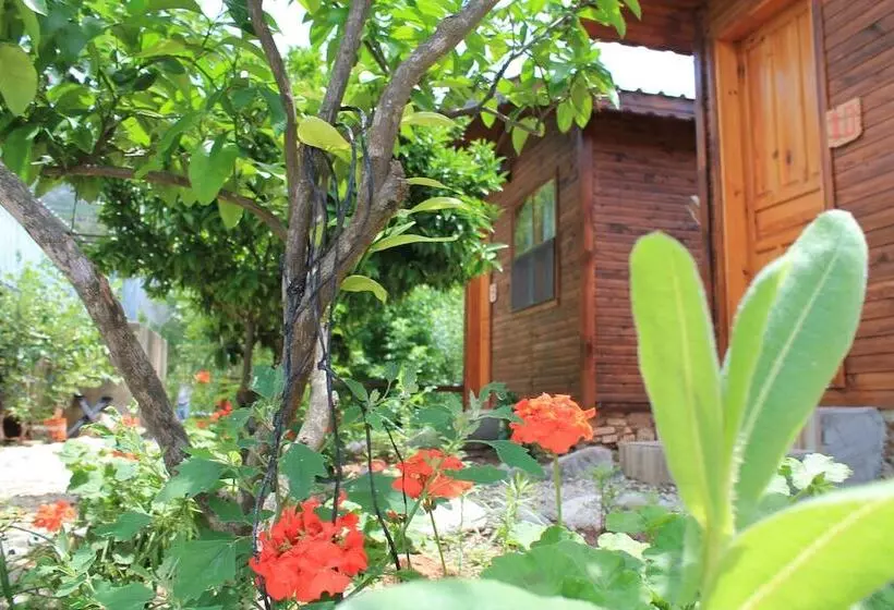 هتل Olympos Simar Pansiyon