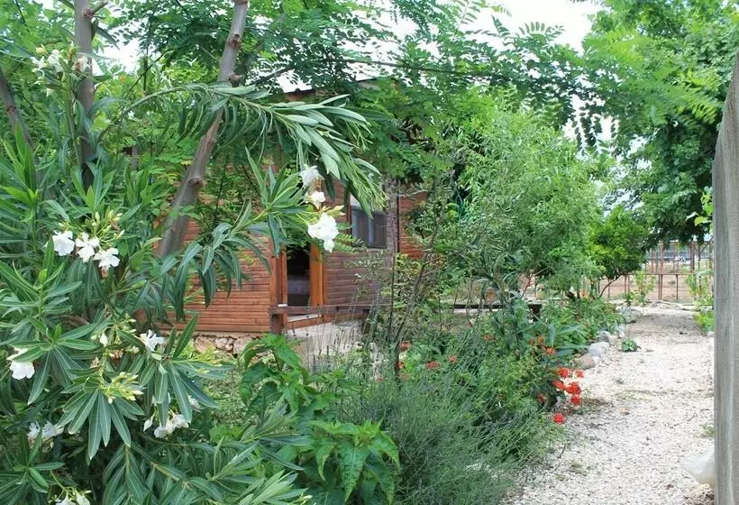 هتل Olympos Simar Pansiyon