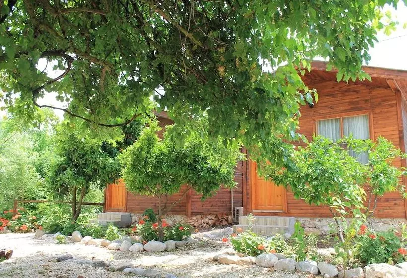هتل Olympos Simar Pansiyon