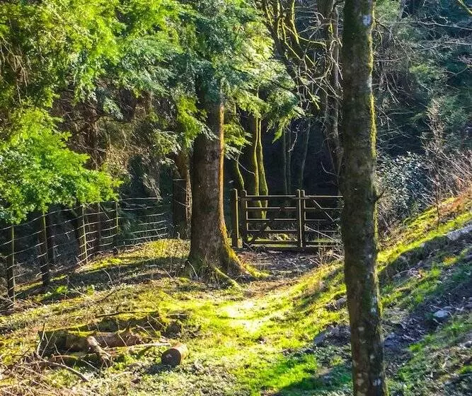 田舎風ホテル Llethrau Farm