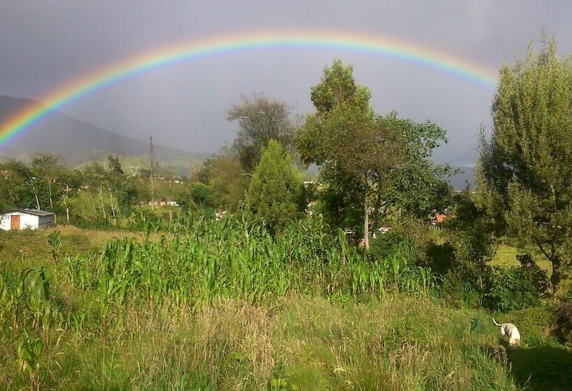 Panzió The Lost Leprechaun Ecohostel