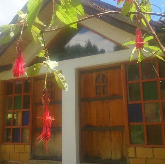 Panzió The Lost Leprechaun Ecohostel