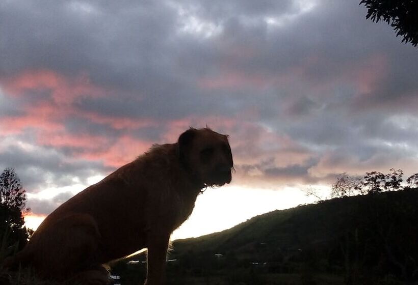 Panzió The Lost Leprechaun Ecohostel