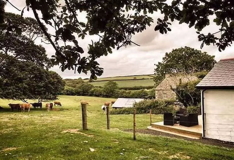 Vine Cottage