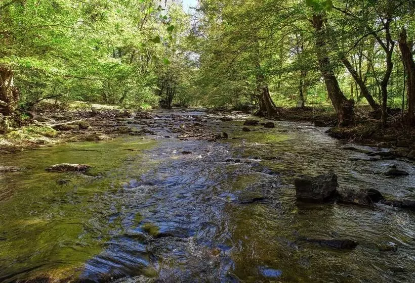 Wandering Creek   2 Bedrooms, 1 Baths, Sleeps 6 Cabin By Redawning