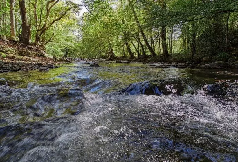 Wandering Creek   2 Bedrooms, 1 Baths, Sleeps 6 Cabin By Redawning