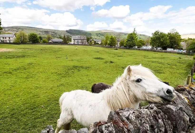 Buttercup Cottage